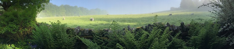 Recent May morning