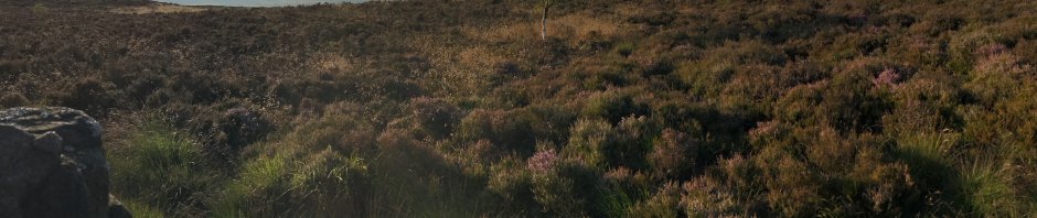 Farnhill Moor, above Kildwick